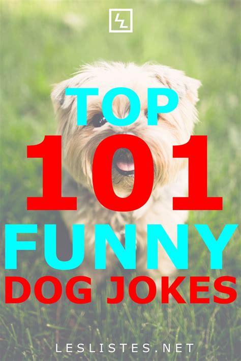 Top 101 funny dog jokes that puppy families will understand – Artofit