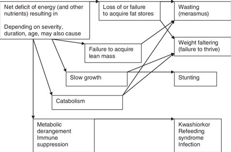 Impact of undernutrition on growth and resulting undernutrition... | Download Scientific Diagram