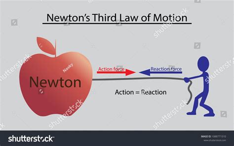 Newton's Third Law of Motion, Concept design.Law#Newton#Motion#design in 2021 | Newtons third ...