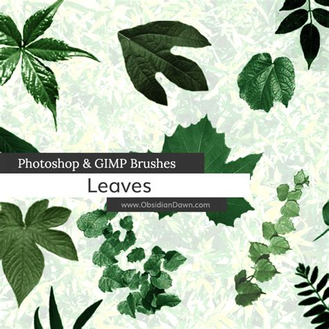 Leaves Photoshop & GIMP Brushes | Obsidian Dawn