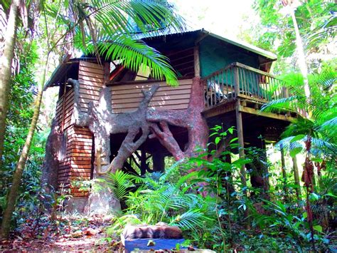 Camping | Daintree National Park, Australia | Glamping Hub