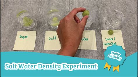 Density Experiment