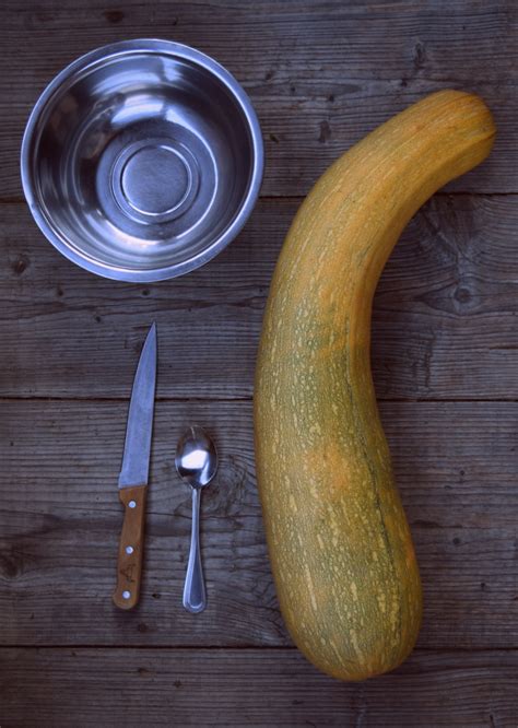 How To Save Zucchini Seeds - 500 Seeds Per Zucchini!