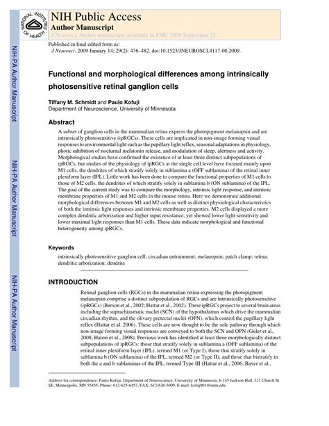 (PDF) Functional and Morphological Differences among Intrinsically Photosensitive Retinal ...