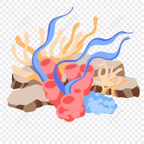 Coral Reef Clipart Png Bed