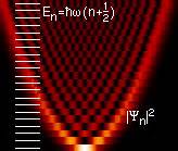 Quantum harmonic oscillator - Wikipedia