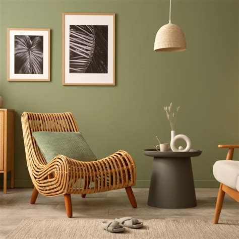 What Colour Goes With Sage Green Walls