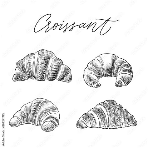 croissant hand drawn sketch vector set Stock Vector | Adobe Stock