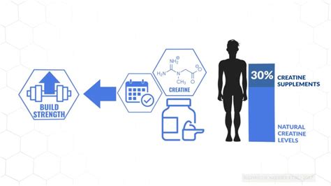 How To Use Creatine For Muscle Growth (4 Steps)