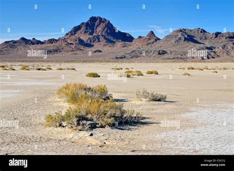 Salt flats at the Bonneville Speedway, Great Salt Lake Desert, Silver ...