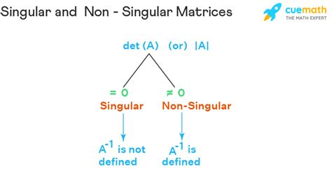 Singular Matrix - Definition, Properties, Examples, Meaning