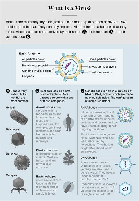 Most Common Types Of Viruses