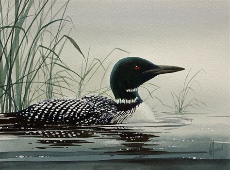 Loon Near The Shore | Ducks and loons/other large birds | Bird art, Watercolor bird, Wildlife art