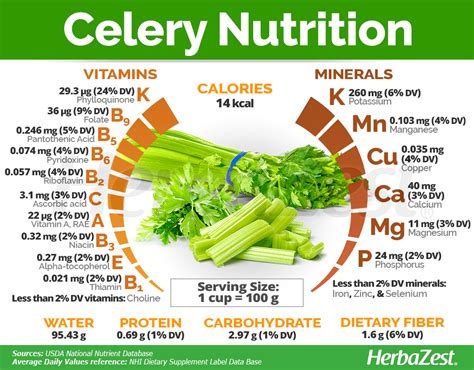 Celery in 2023 | Healthy food choices, Food health benefits, Nutrition