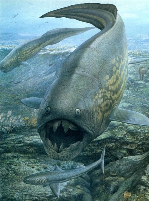 Dunkleosteus | Ausgestorbene tiere, Prähistorisches