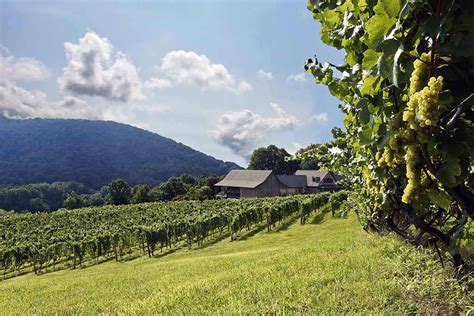 10 Must-Visit Wineries in Virginia