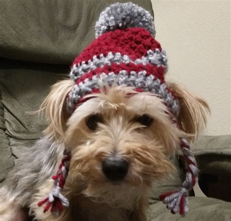 Free Crochet Pattern For Dog Hat Web Crochet Dog Sweater Free Pattern ...