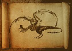 Types of Wyverns - International Wyvern Defence Circle