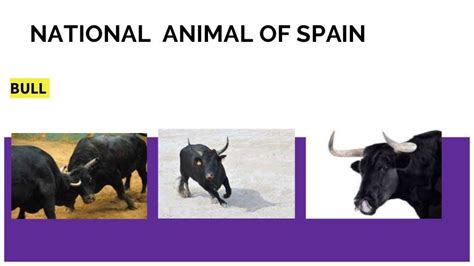 National animal of spain