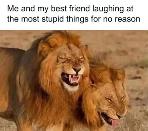 50 Friendship Memes To Share With Your Best Friend | Bored Panda