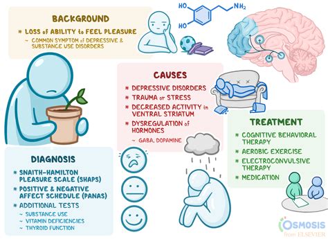 Anhedonia: What Is It, Causes, Diagnosis, and More | Osmosis