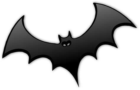 Fun Bat Facts For Kids | Cool Kid Facts