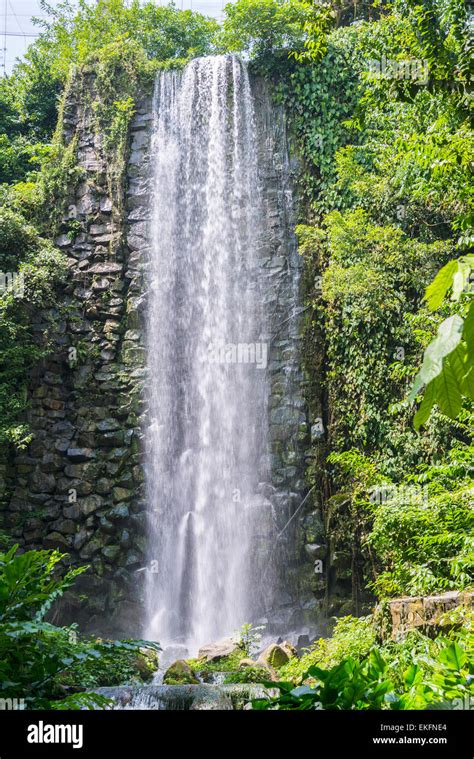 Jurong bird Park Singapore, man made waterfall Stock Photo - Alamy