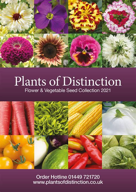 Plants of Distinction Flower & Vegetable Seed — Emma Long Graphic Design