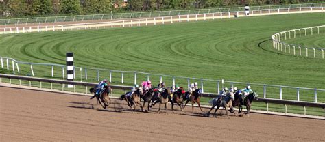 Free Images : structure, farm, run, bend, color, mane, gamble, thoroughbred, united states ...