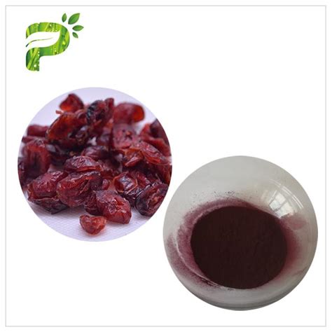 Natural Anti inflammatory supplements Proanthocyanidins (PACs) Cranberry Extract