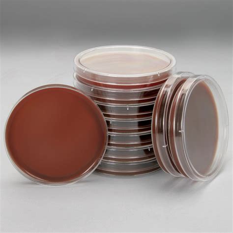 Chocolate Agar (with VX), Prepared Media Plates, 100 x 15 mm, Pack of 10 | Carolina.com