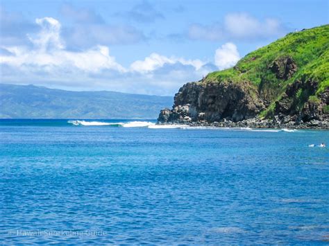 Honolua Bay Snorkeling Secrets! The Complete Guide to Maui Snorkeling!