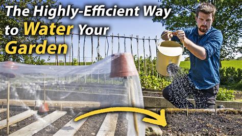 Simple Guide to Watering | Highly-Effective Watering Methods for the Vegetable Garden - YouTube