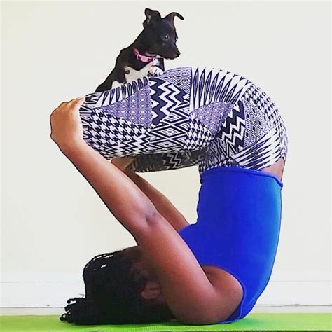 21 Dogs Doing Yoga (or Interrupting Their Owners Doing Yoga)