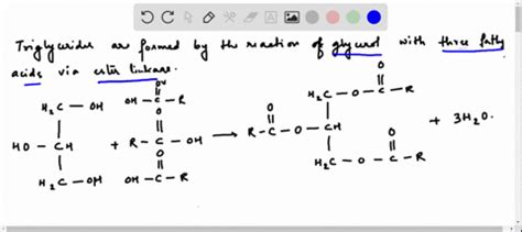 SOLVED:What is a triglyceride? Draw the general structure of a ...