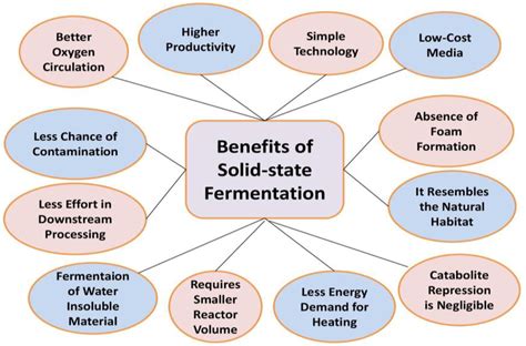 The benefits of Solid-state fermentation. | Download Scientific Diagram