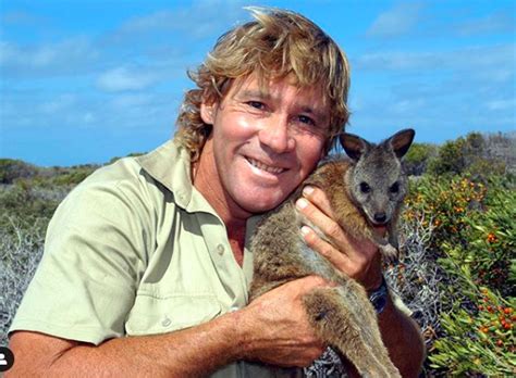 This cartoon showing Steve Irwin welcoming bushfire animals is just ...