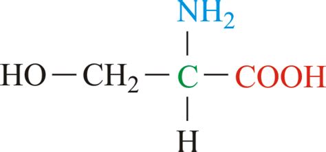 Serine @ Chemistry Dictionary & Glossary