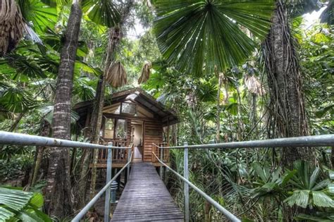 Daintree Rainforest Treehouse Accommodation | Tree Tops