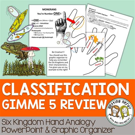 Classification Gimme Five Graphic Organizer Review Activity | Life science lessons, Graphic ...