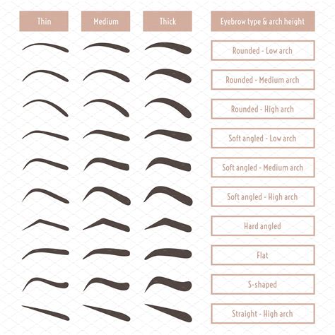 Eyebrow shapes. Various brow types. | Types of eyebrows, Eyebrow shaping, Amazing wedding makeup