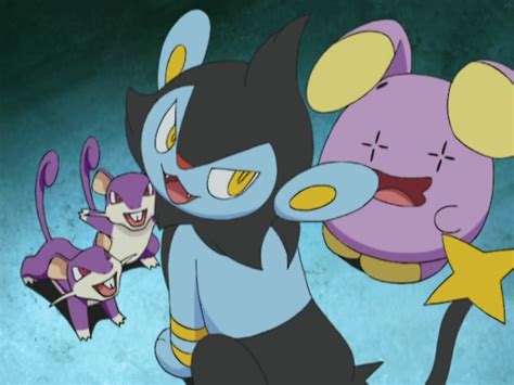 Luxio (DP109) | Pokémon Wiki | FANDOM powered by Wikia