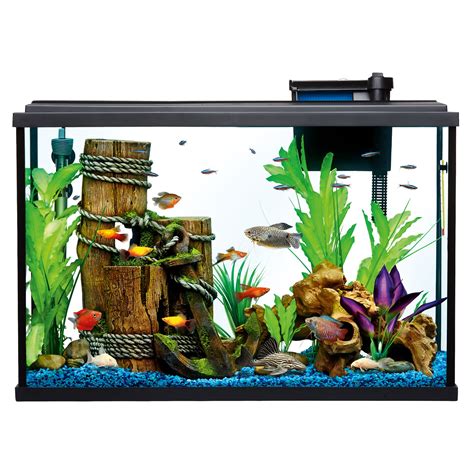 Fish Supplies: Aquarium Supplies & Accessories | PetSmart