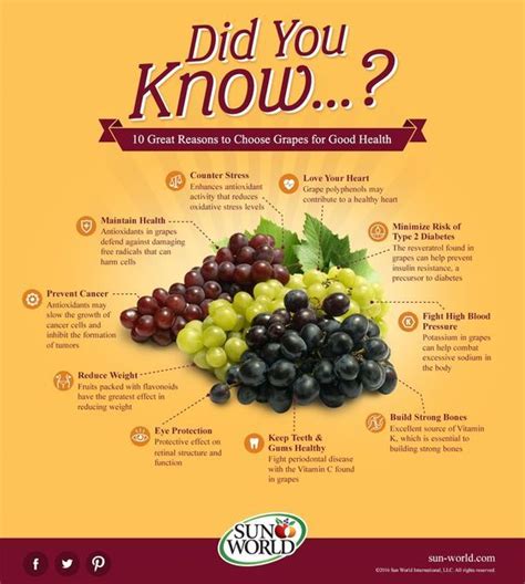 10 Health Benefits of Grapes Infographic | Grapes benefits, Grape nutrition, Healthy