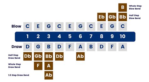 Learn C Harmonica Notes - An Easy Beginner’s Guide