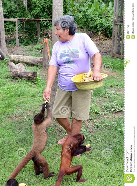 Feeding Monkeys editorial stock photo. Image of isla - 61241753