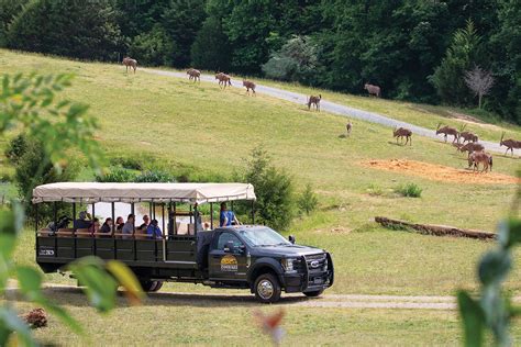 The North Carolina Zoo | Our State