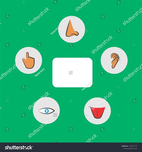 Five Senses Vector Illustration Stock Vector (Royalty Free) 1104577124 | Shutterstock