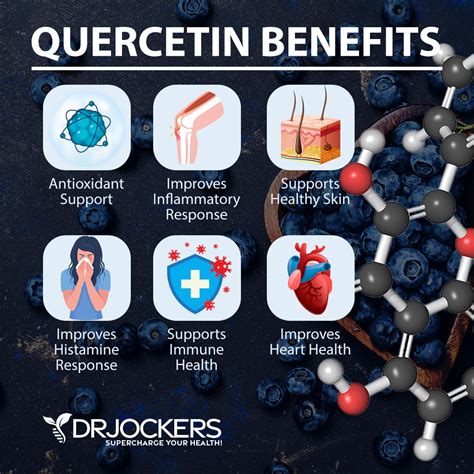 Quercetin: Top 5 Benefits and How to Use It - DrJockers.com