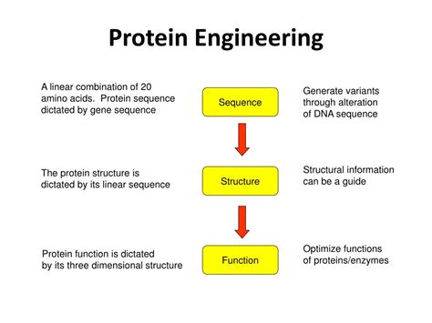 PPT - Protein Engineering and Directed Evolution PowerPoint Presentation - ID:4415897